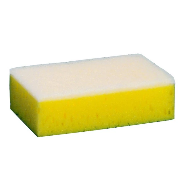 Éponges 10 pièces