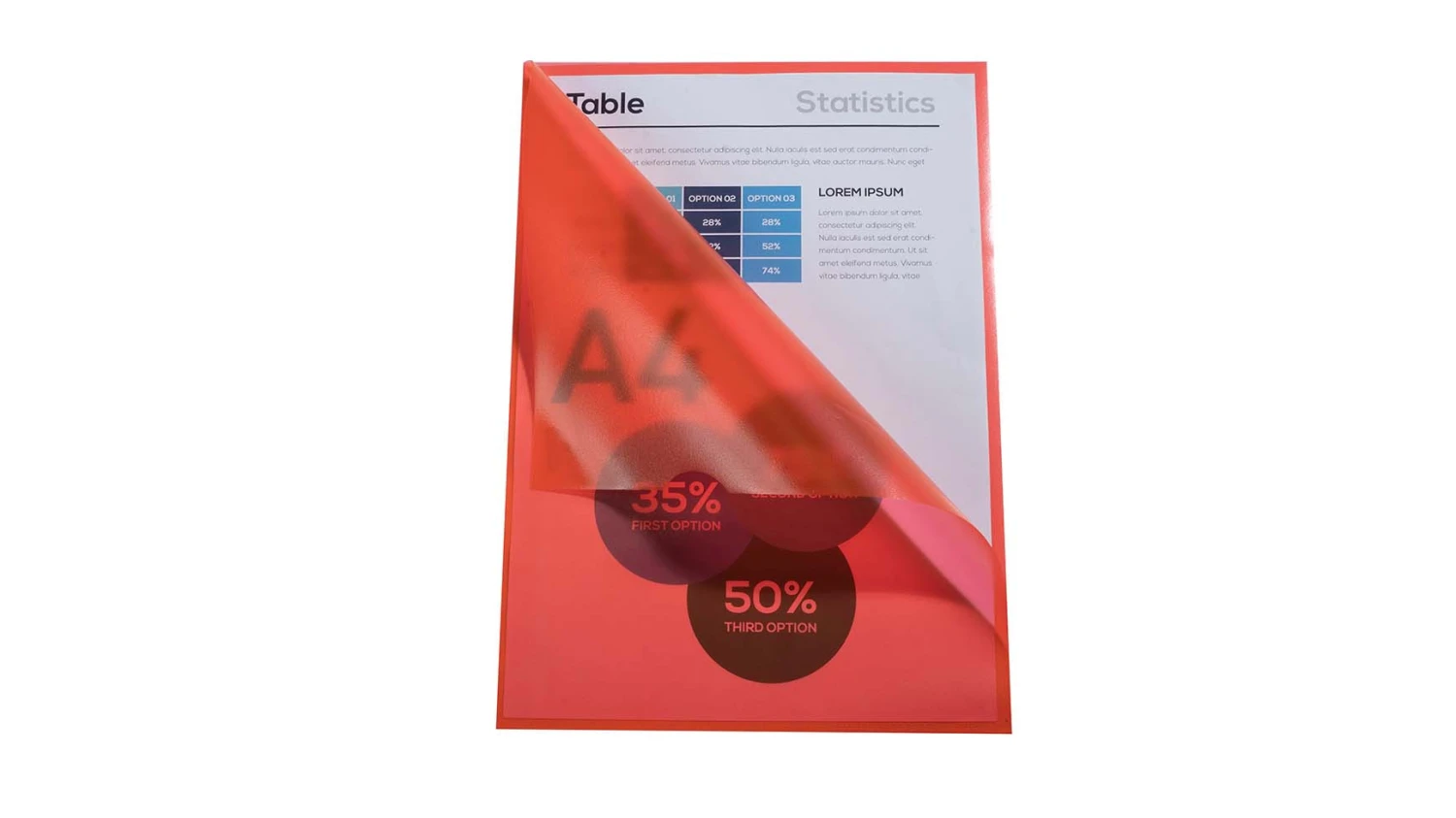 Exacompta Chemises transparentes A4 - 22 x 31 cm