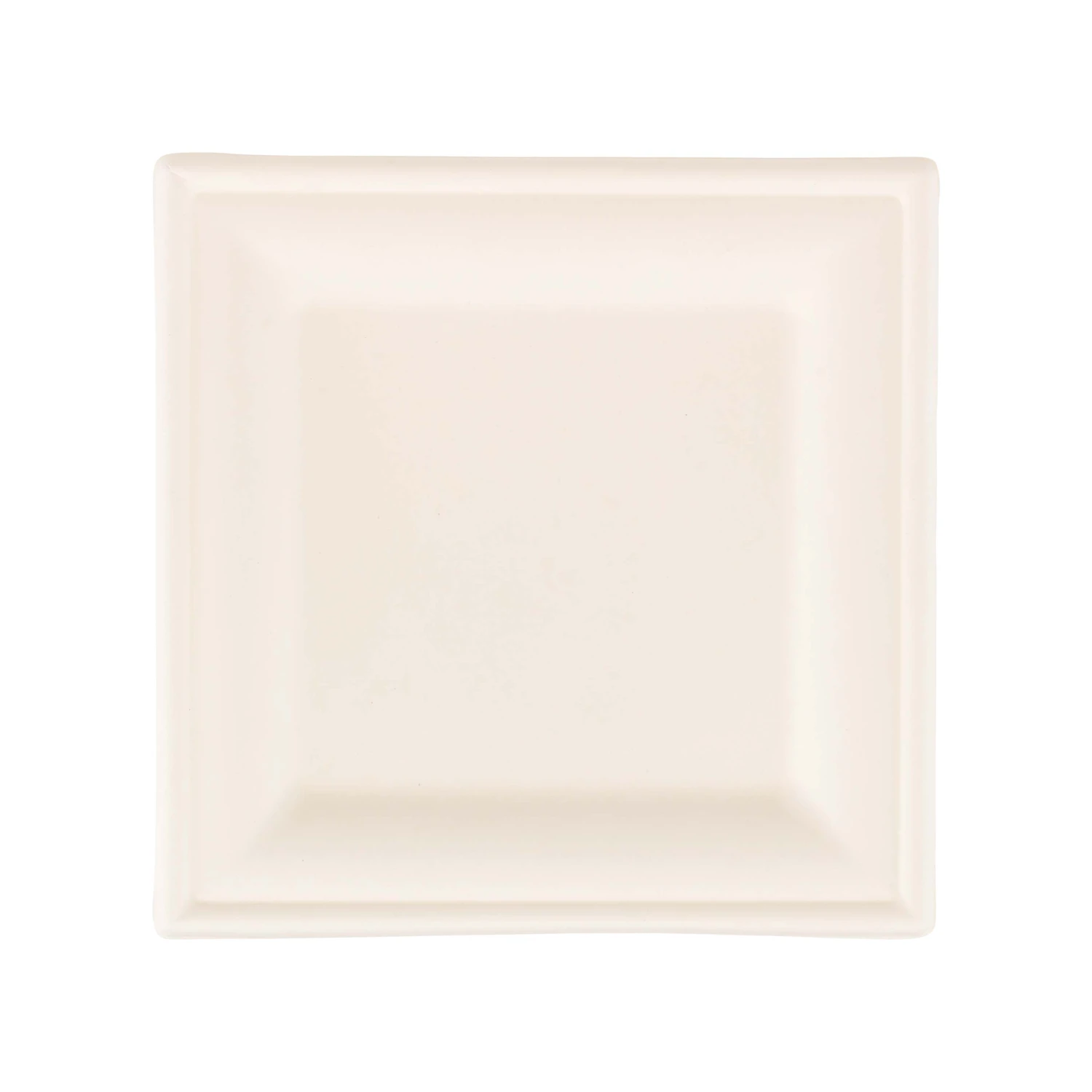 Assiettes jetables carrées, 125 pièces