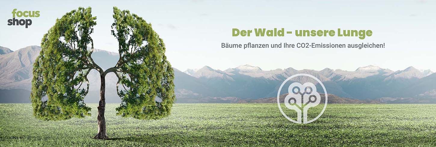 Illustration von Bäumen auf grüner Wiese mit Schriftzug "Der Wald - unsere Lunge" und Öko-Logo