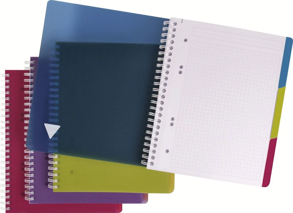 CLAIREFONTAINE LINICOLOR Heft A5+ - kariert