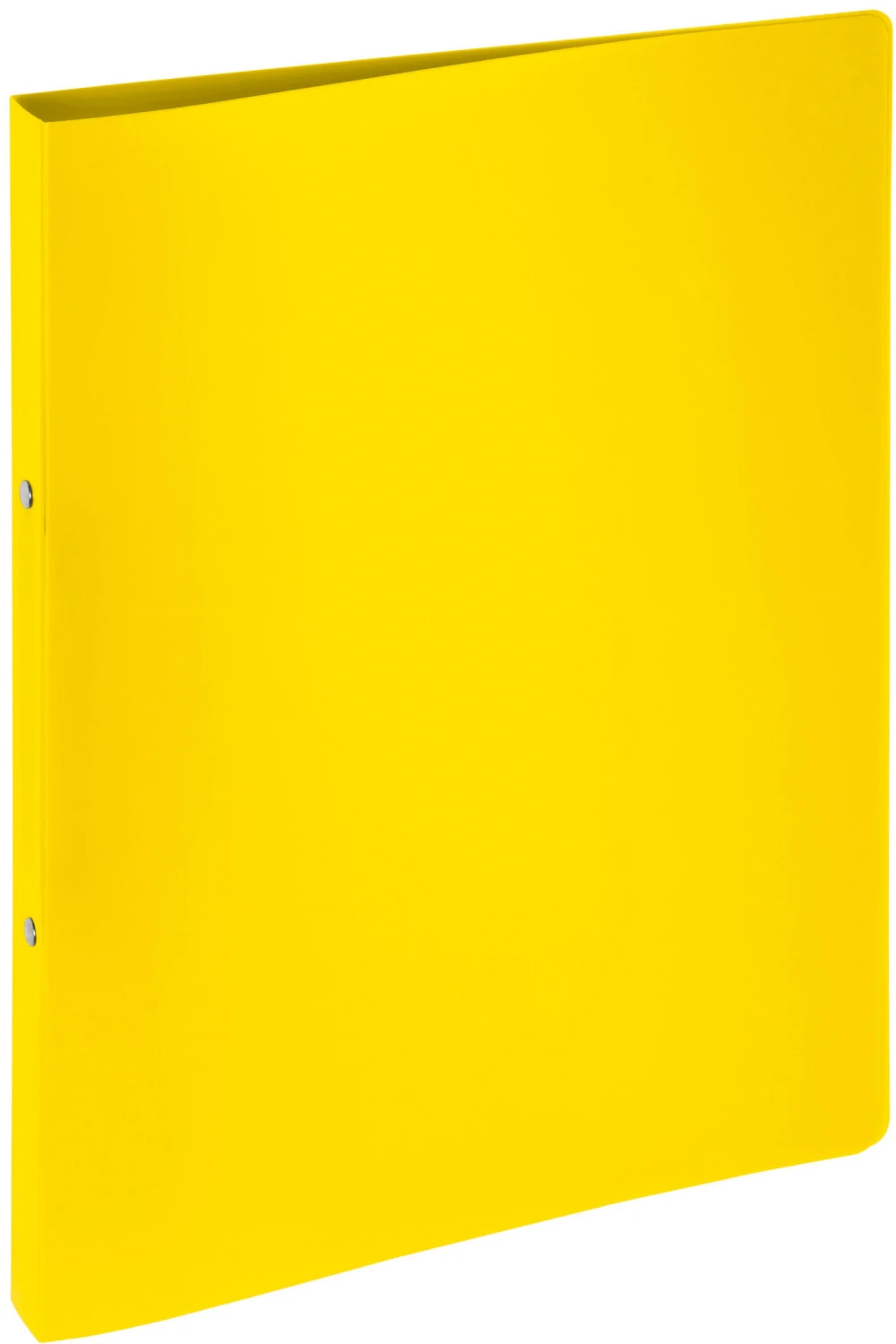 PAGNA Ringbuch 23mm A4