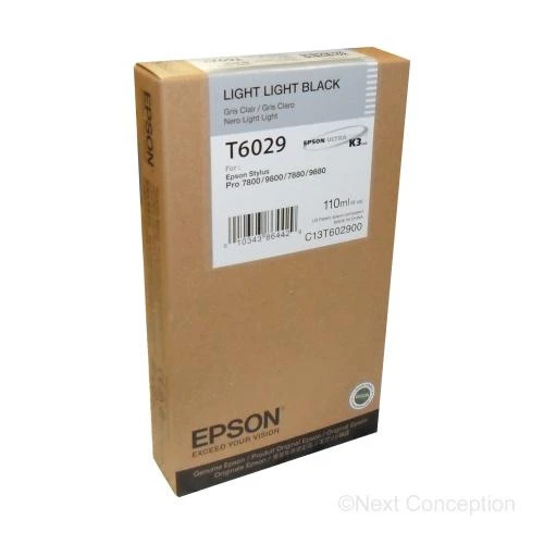 EPSON T602900 Tintenpatrone light-light schwarz